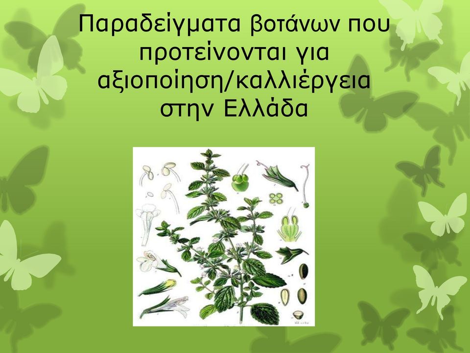 προτείνονται για