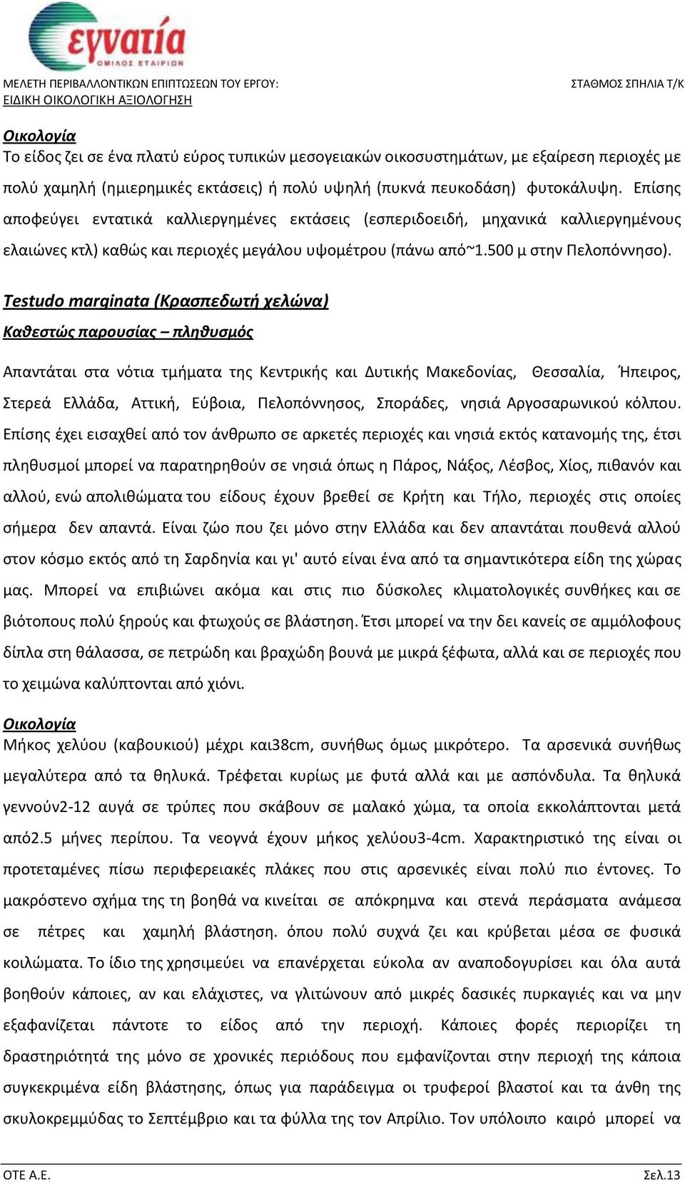 Testudo marginata (Κρασπεδωτή χελώνα) Καθεστώς παρουσίας πληθυσμός Απαντάται στα νότια τμήματα της Κεντρικής και Δυτικής Μακεδονίας, Θεσσαλία, Ήπειρος, Στερεά Ελλάδα, Αττική, Εύβοια, Πελοπόννησος,