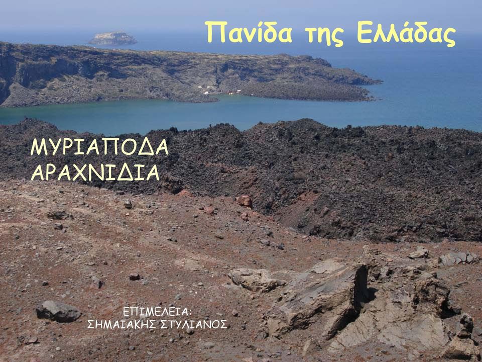 ΑΡΑΧΝΙΔΙΑ