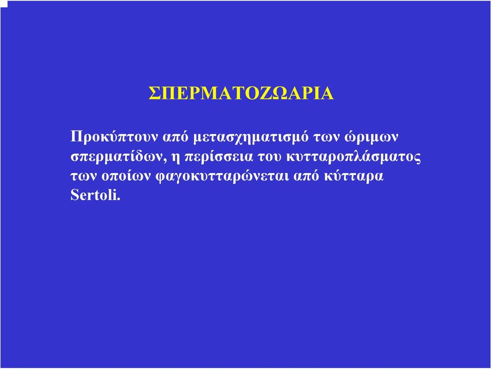 σπερματίδων, η περίσσεια του