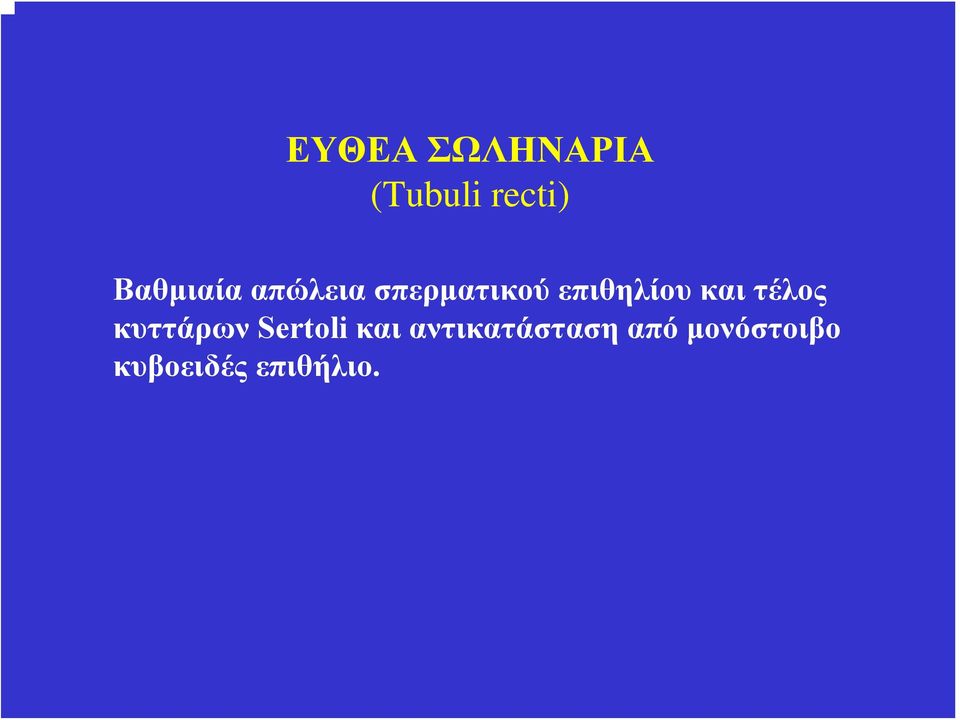 επιθηλίου και τέλος κυττάρων Sertoli