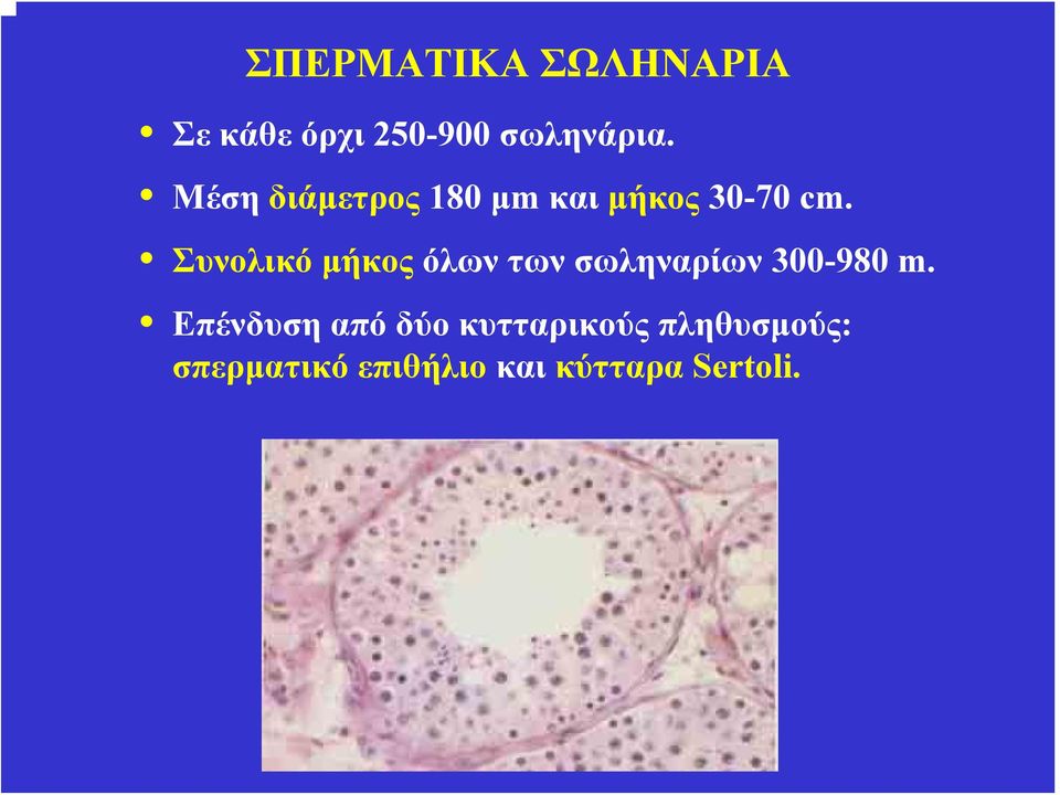 Συνολικό μήκος όλων των σωληναρίων 300-980 m.