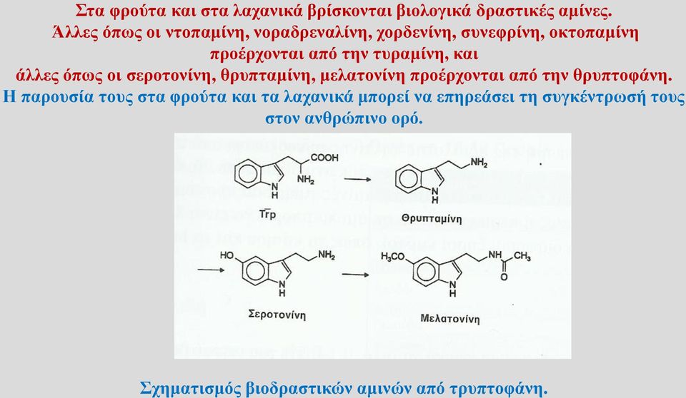 τυραμίνη, και άλλες όπως οι σεροτονίνη, θρυπταμίνη, μελατονίνη προέρχονται από την θρυπτοφάνη.