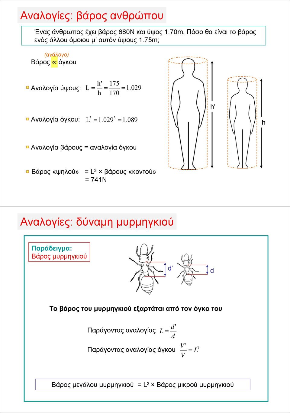 089 h Αναλογία βάρους = αναλογία όγκου Βάρος «ψηλού» = L βάρους «κοντού» = 741Ν Αναλογίες: δύναμη μυρμηγκιού Παράδειγμα: Βάρος