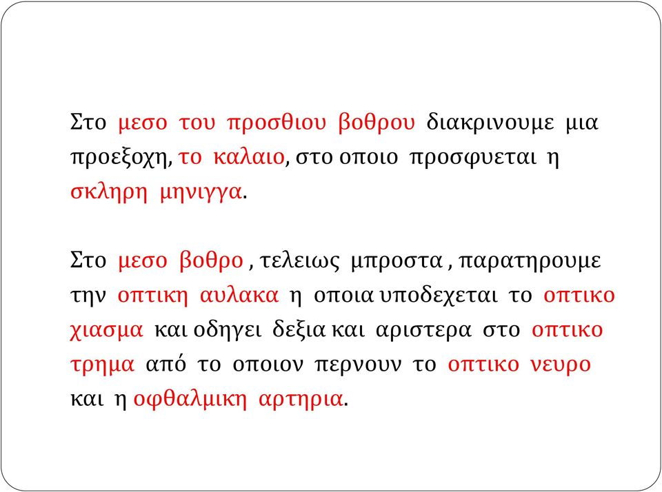 Στο μεσο βοθρο, τελειως μπροστα, παρατηρουμε την οπτικη αυλακα η οποια