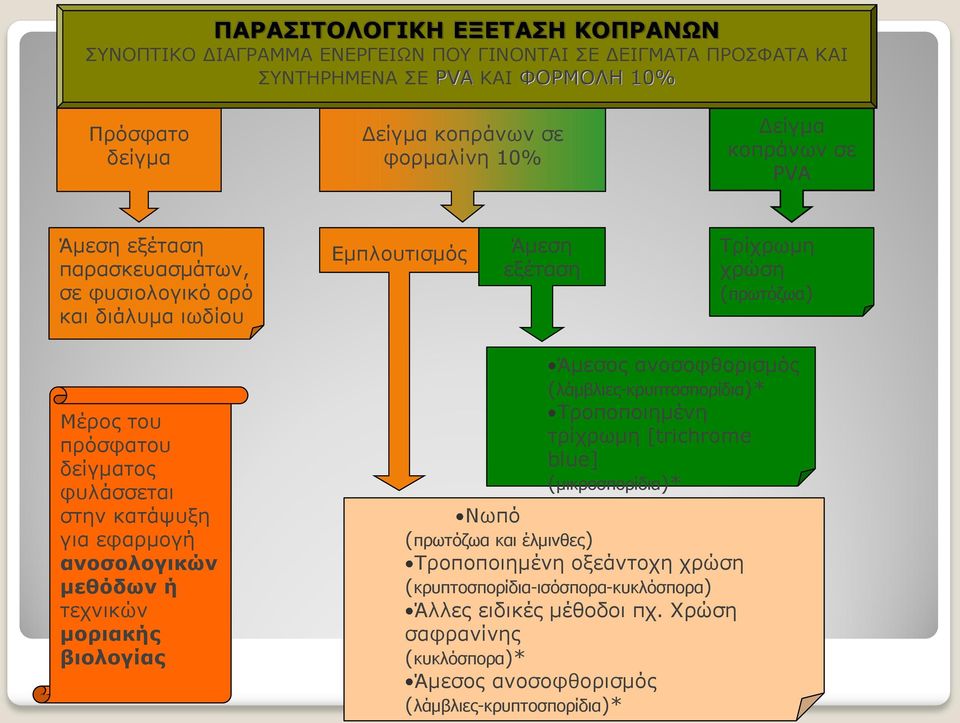 στην κατάψυξη για εφαρμογή ανοσολογικών μεθόδων ή τεχνικών μοριακής βιολογίας Άμεσος ανοσοφθορισμός (λάμβλιες-κρυπτοσπορίδια)* Τροποποιημένη τρίχρωμη [trichrome blue] (μικροσπορίδια)* Νωπό