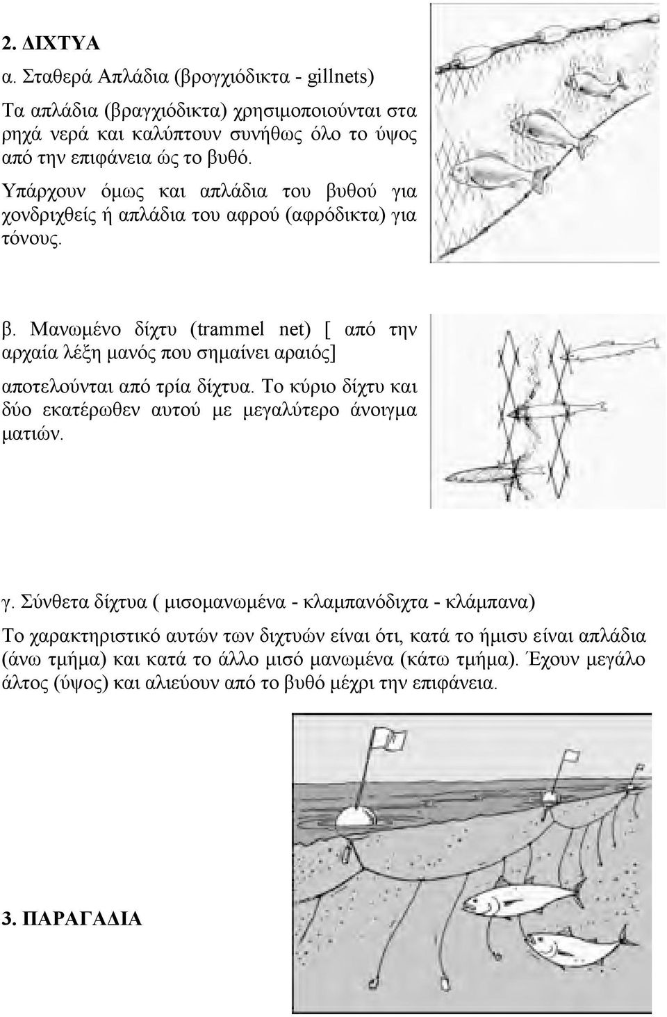 Το κύριο δίχτυ και δύο εκατέρωθεν αυτού με μεγαλύτερο άνοιγμα ματιών. γ.