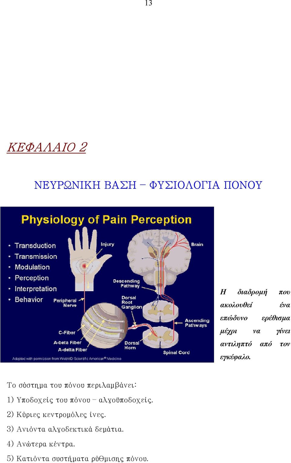 Το σύστημα του πόνου περιλαμβάνει: 1) Υποδοχείς του πόνου αλγοϋποδοχείς.