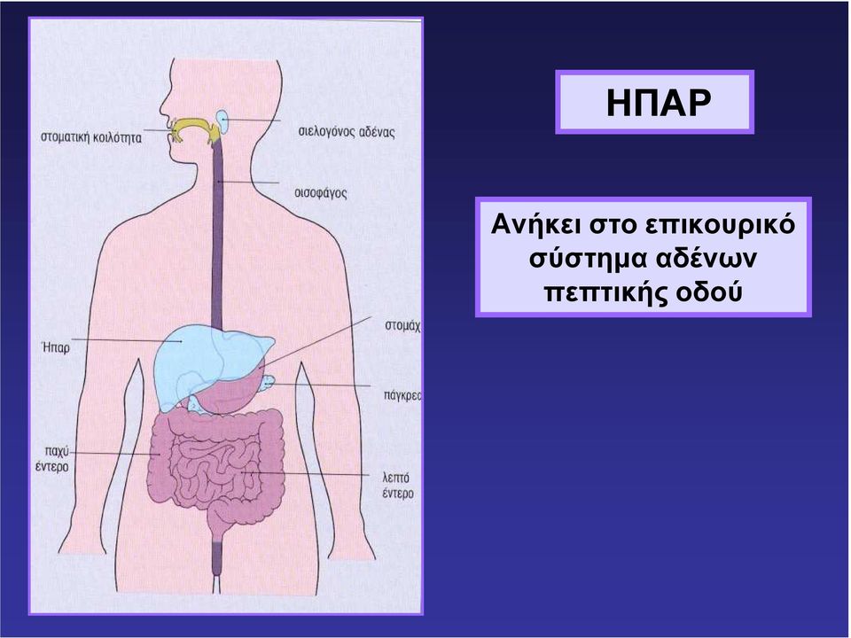 επικουρικό