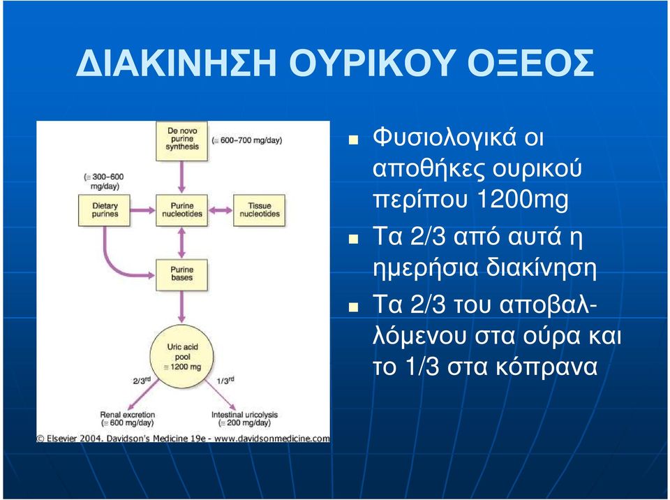 από αυτά η ηµερήσια διακίνηση Τα 2/3 του