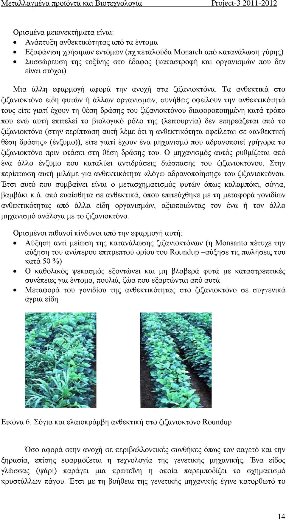 Τα ανθεκτικά στο ζιζανιοκτόνο είδη φυτών ή άλλων οργανισμών, συνήθως οφείλουν την ανθεκτικότητά τους είτε γιατί έχουν τη θέση δράσης του ζιζανιοκτόνου διαφοροποιημένη κατά τρόπο που ενώ αυτή επιτελεί