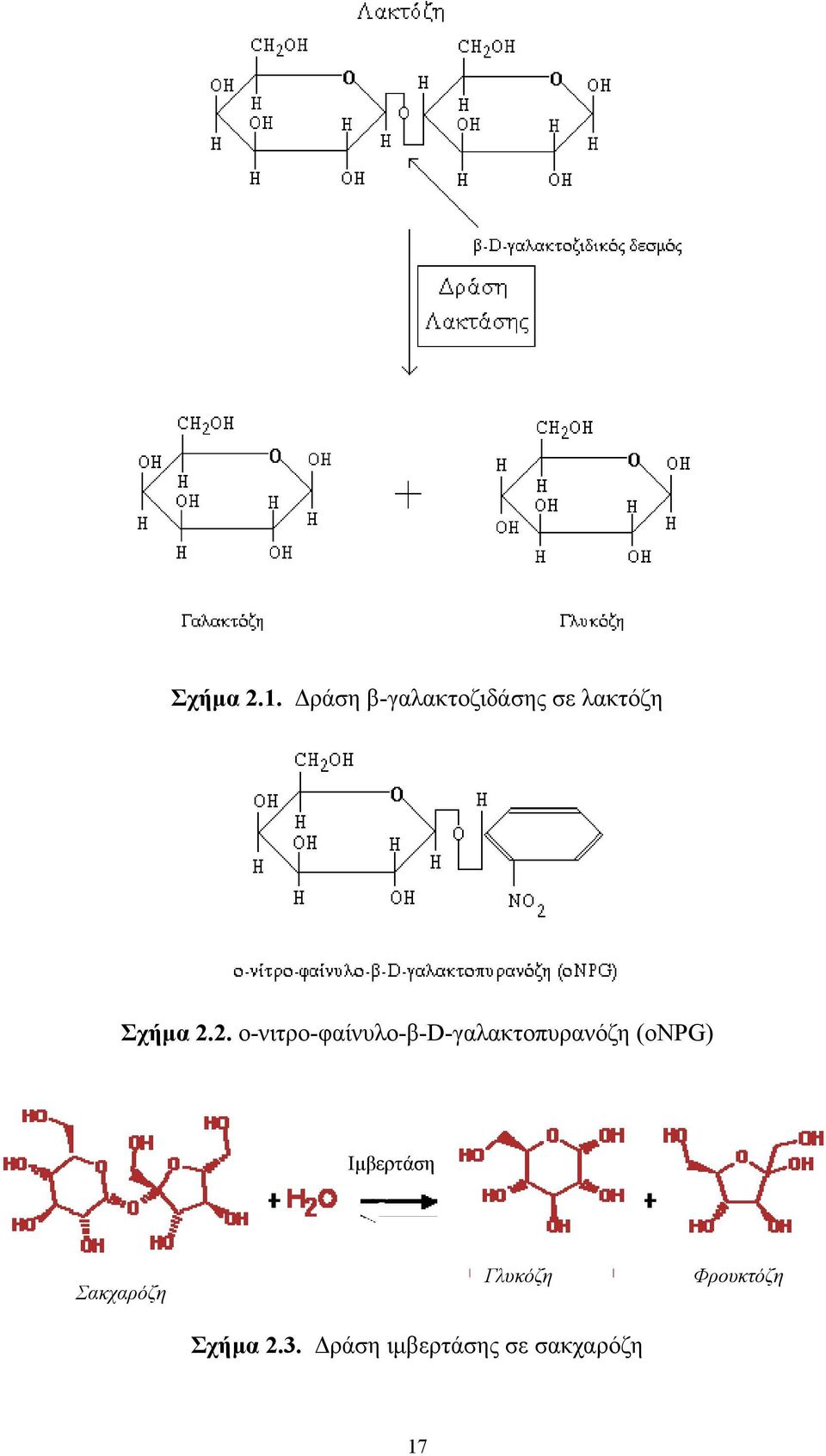 2. ο-νιτρο-φαίνυλο-β-d-γαλακτοπυρανόζη