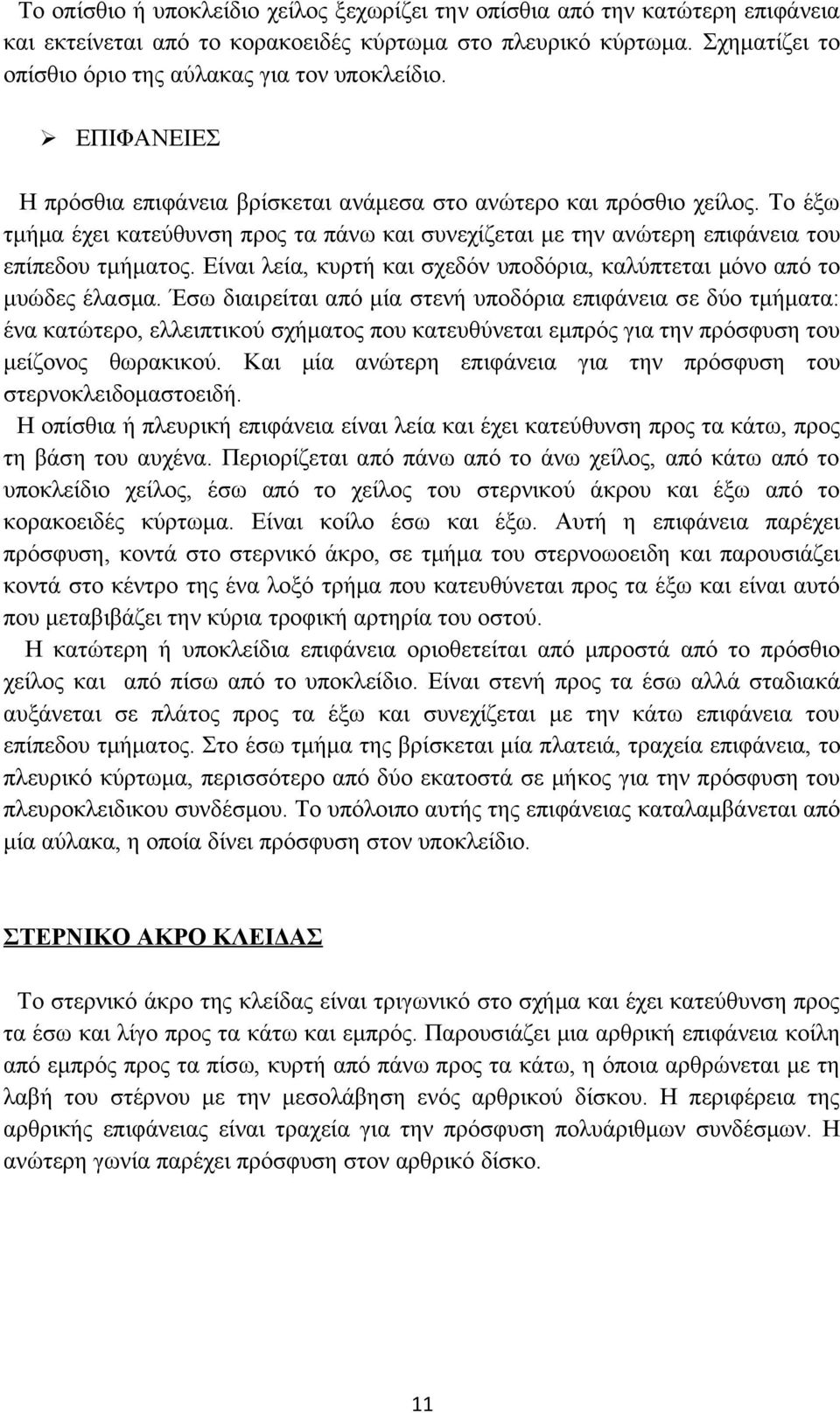 Το έξω τμήμα έχει κατεύθυνση προς τα πάνω και συνεχίζεται με την ανώτερη επιφάνεια του επίπεδου τμήματος. Είναι λεία, κυρτή και σχεδόν υποδόρια, καλύπτεται μόνο από το μυώδες έλασμα.