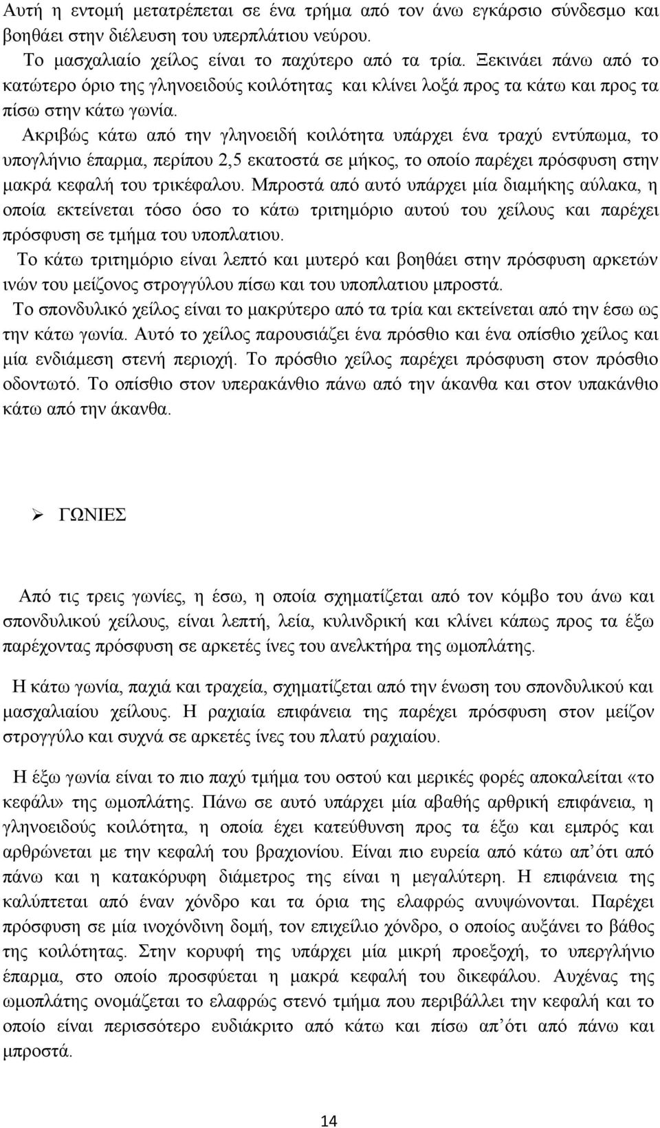 Ακριβώς κάτω από την γληνοειδή κοιλότητα υπάρχει ένα τραχύ εντύπωμα, το υπογλήνιο έπαρμα, περίπου 2,5 εκατοστά σε μήκος, το οποίο παρέχει πρόσφυση στην μακρά κεφαλή του τρικέφαλου.