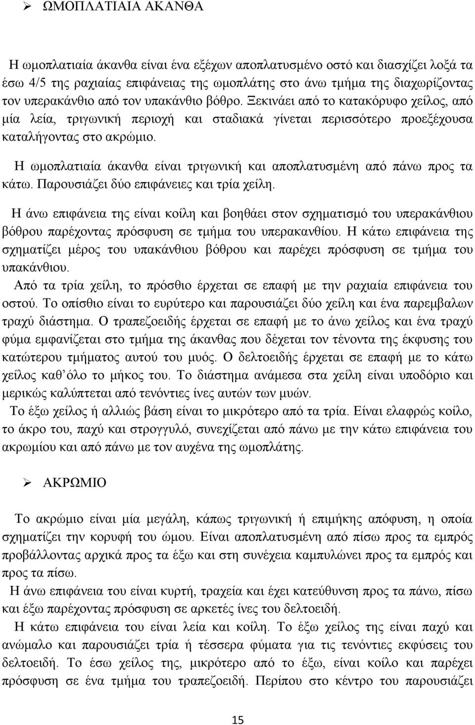 Η ωμοπλατιαία άκανθα είναι τριγωνική και αποπλατυσμένη από πάνω προς τα κάτω. Παρουσιάζει δύο επιφάνειες και τρία χείλη.