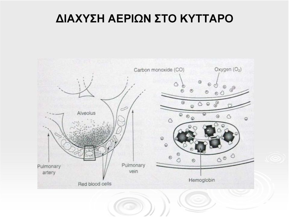 ΣΤΟ