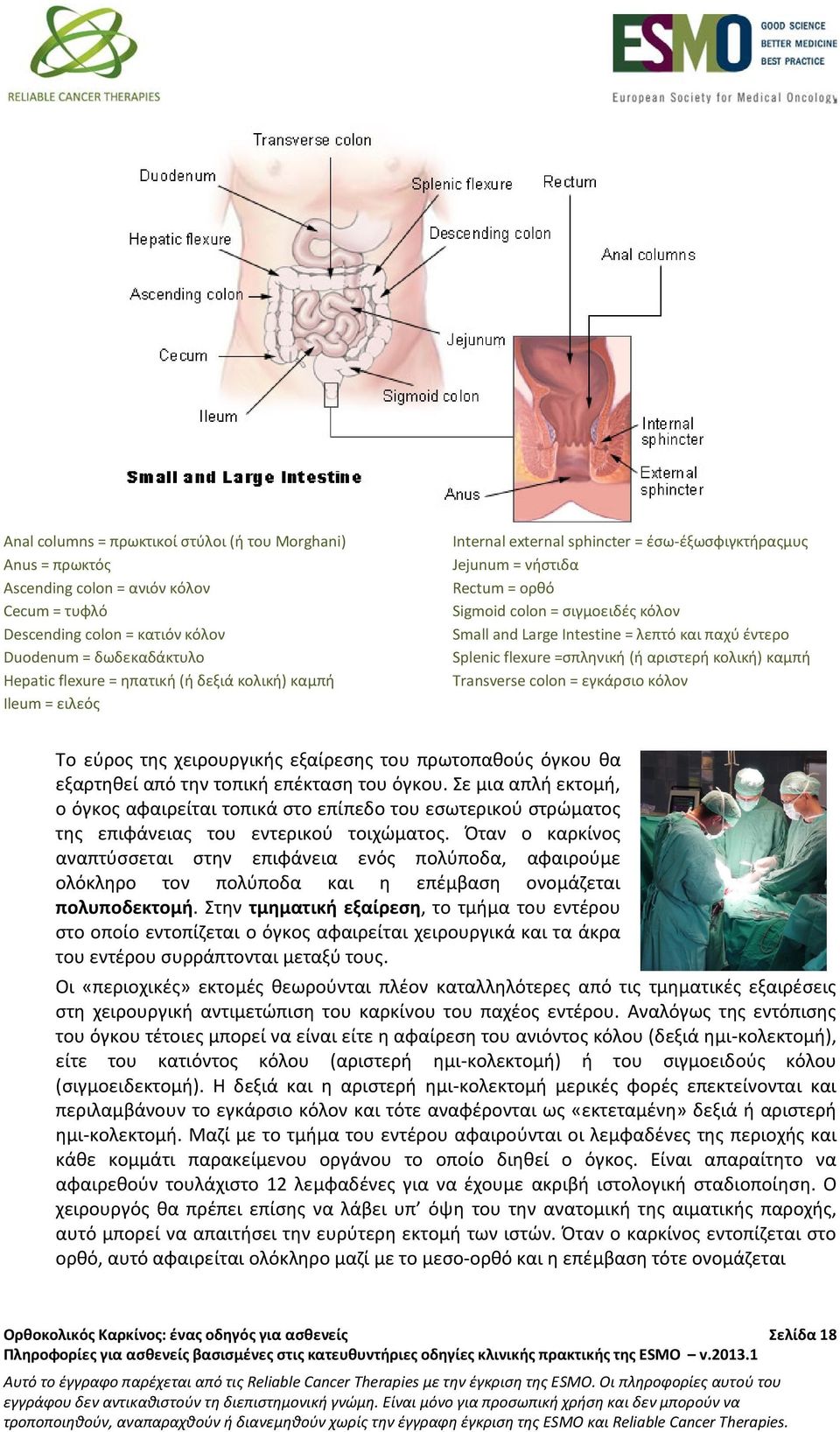 Splenic flexure =σπληνική (ή αριστερή κολική) καμπή Transverse colon = εγκάρσιο κόλον Το εύρος της χειρουργικής εξαίρεσης του πρωτοπαθούς όγκου θα εξαρτηθεί από την τοπική επέκταση του όγκου.
