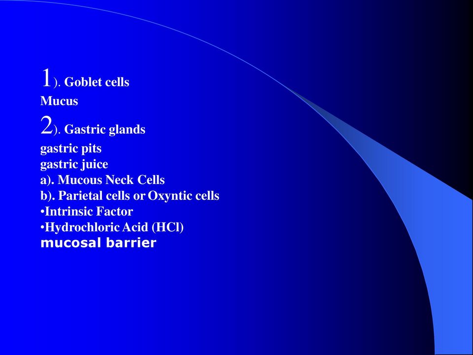 Mucous Neck Cells b).