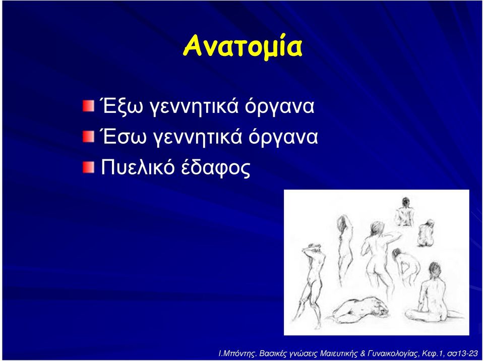 Μπόντης.
