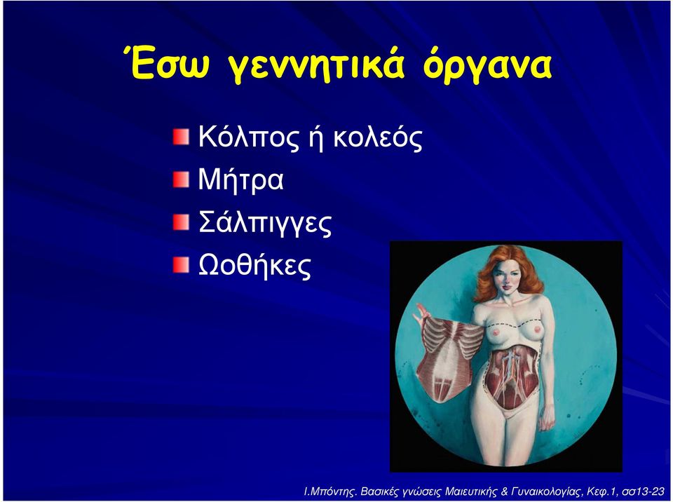 Μπόντης.