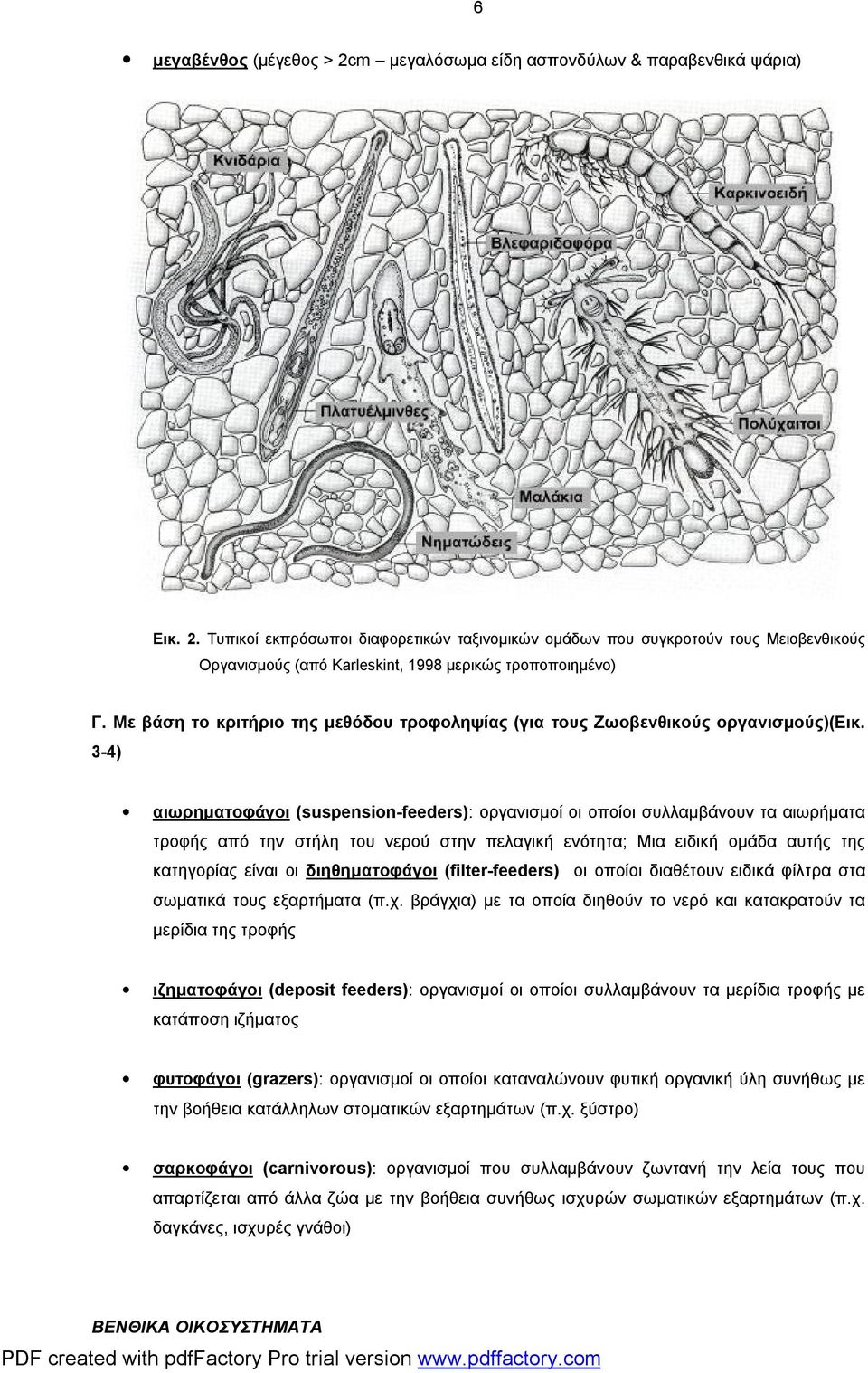 3-4) αιωρηματοφάγοι (suspension-feeders): οργανισμοί οι οποίοι συλλαμβάνουν τα αιωρήματα τροφής από την στήλη του νερού στην πελαγική ενότητα; Μια ειδική ομάδα αυτής της κατηγορίας είναι οι