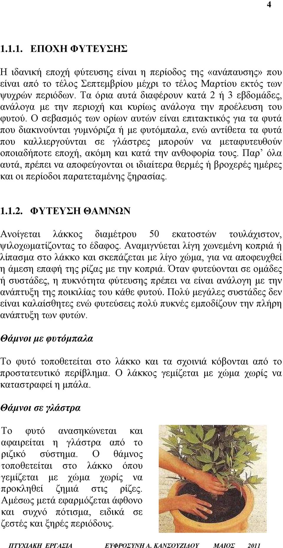 Ο σεβασμός των ορίων αυτών είναι επιτακτικός για τα φυτά που διακινούνται γυμνόριζα ή με φυτόμπαλα, ενώ αντίθετα τα φυτά που καλλιεργούνται σε γλάστρες μπορούν να μεταφυτευθούν οποιαδήποτε εποχή,