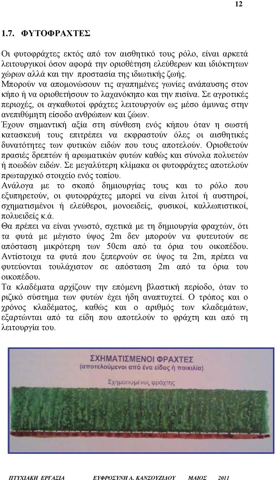 Σε αγροτικές περιοχές, οι αγκαθωτοί φράχτες λειτουργούν ως μέσο άμυνας στην ανεπιθύμητη είσοδο ανθρώπων και ζώων.