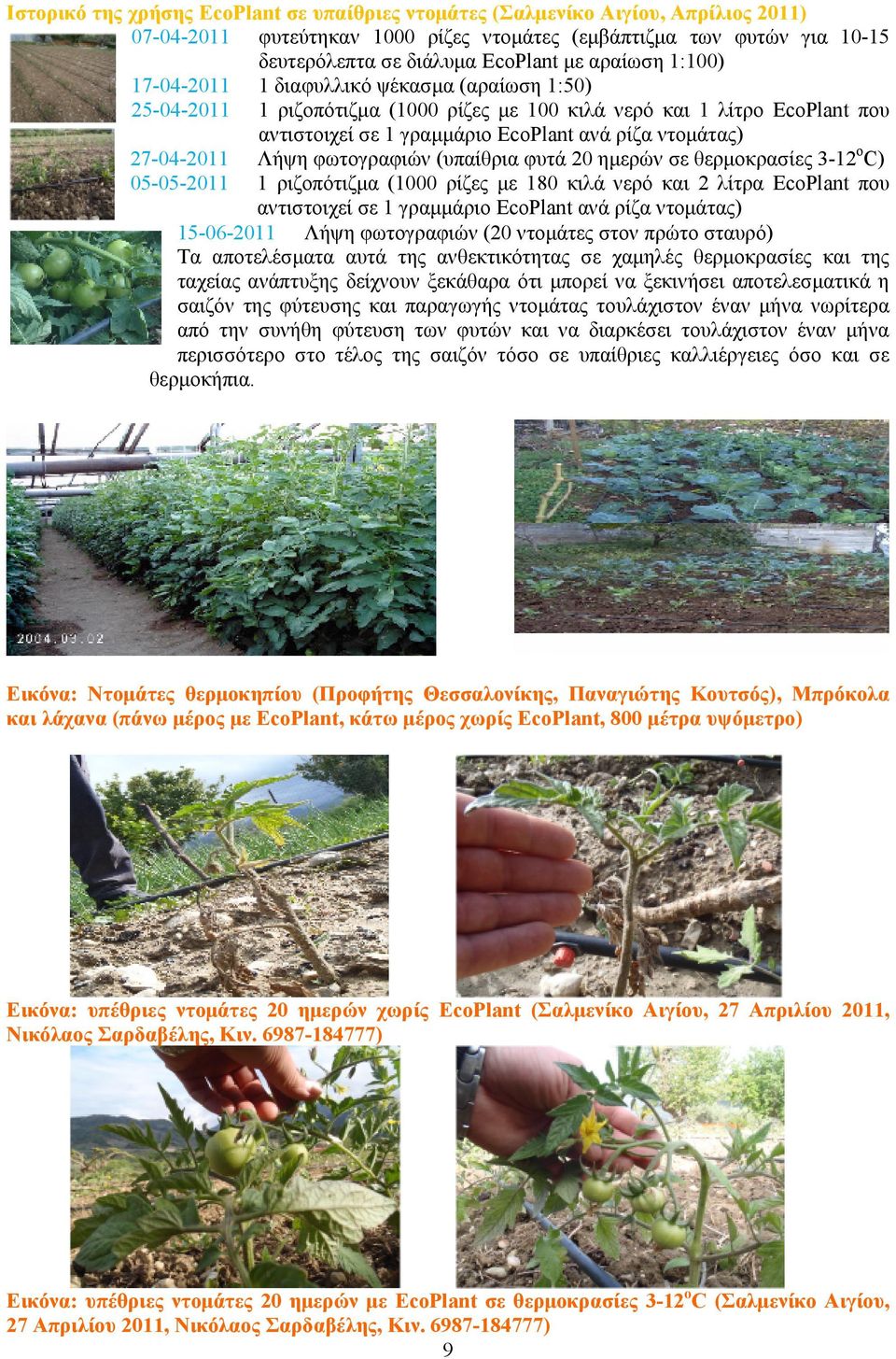 27-04-2011 Λήψη φωτογραφιών (υπαίθρια φυτά 20 ημερών σε θερμοκρασίες 3-12oC) 05-05-2011 1 ριζοπότιζμα (1000 ρίζες με 180 κιλά νερό και 2 λίτρα EcoPlant που αντιστοιχεί σε 1 γραμμάριο EcoPlant ανά
