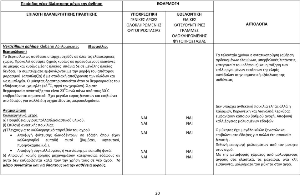 Τα συμπτώματα εμφανίζονται με την μορφή του απότομου μαρασμού (αποπληξία) ή με σταδιακή αποξήρανση των κλάδων και ως ημιπληγία.