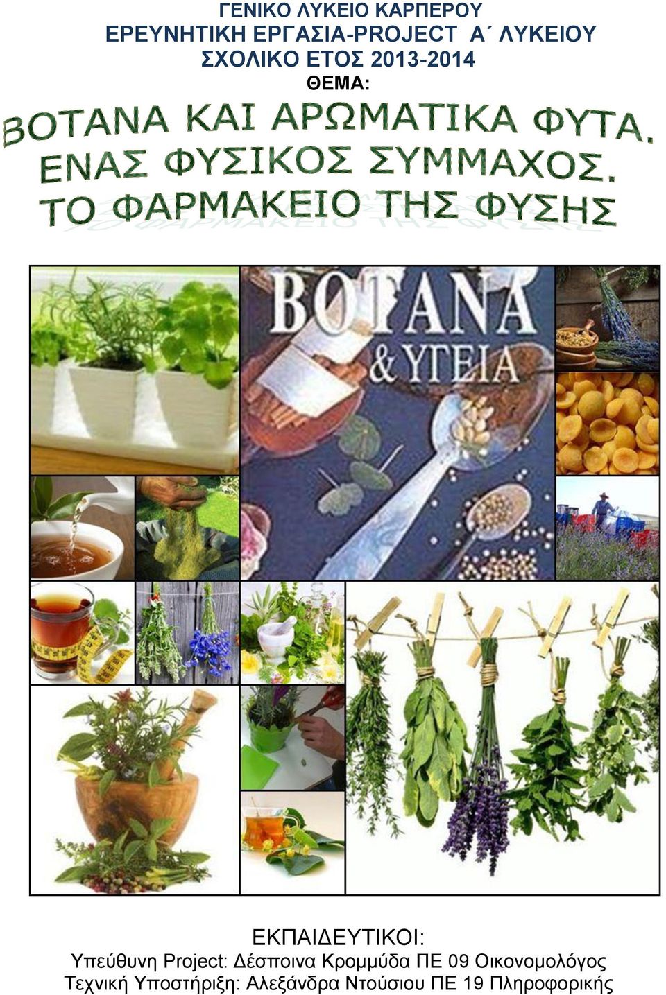 Υπεύθυνη Project: Δέσποινα Κρομμύδα ΠΕ 09