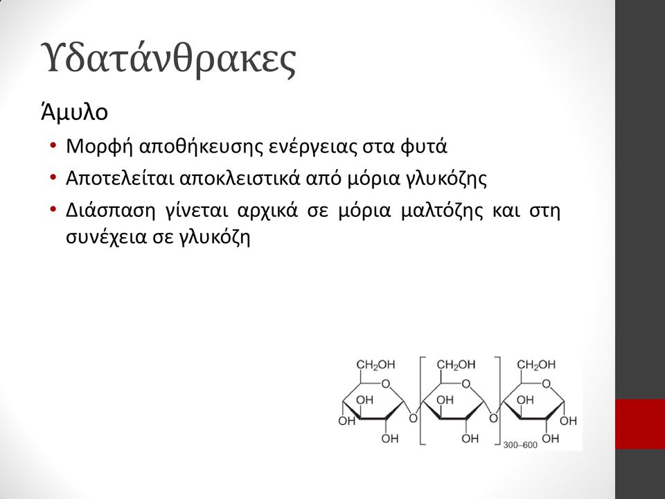 αποκλειστικά από μόρια γλυκόζης Διάσπαση