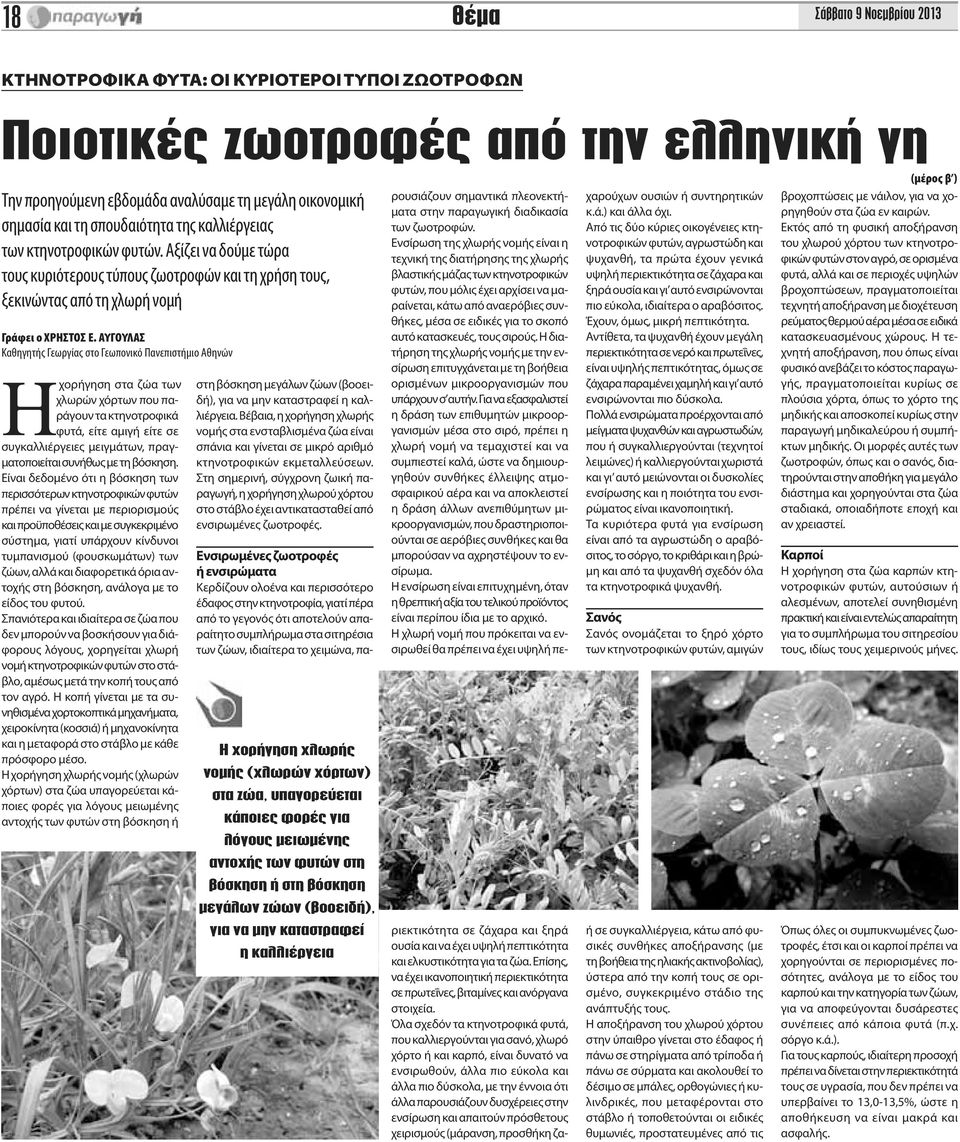 ΑΥΓΟΥΛΑΣ Καθηγητής Γεωργίας στο Γεωπονικό Πανεπιστήμιο Αθηνών Ηχορήγηση στα ζώα των χλωρών χόρτων που παράγουν τα κτηνοτροφικά φυτά, είτε αμιγή είτε σε συγκαλλιέργειες μειγμάτων, πραγματοποιείται