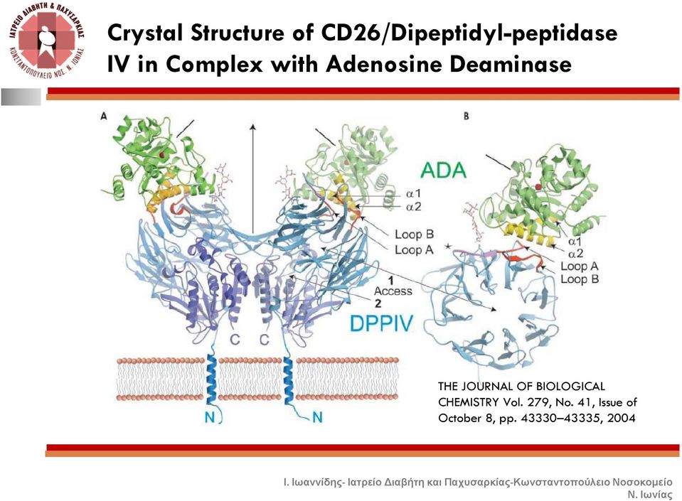 Adenosine Deaminase THE JOURNAL OF BIOLOGICAL