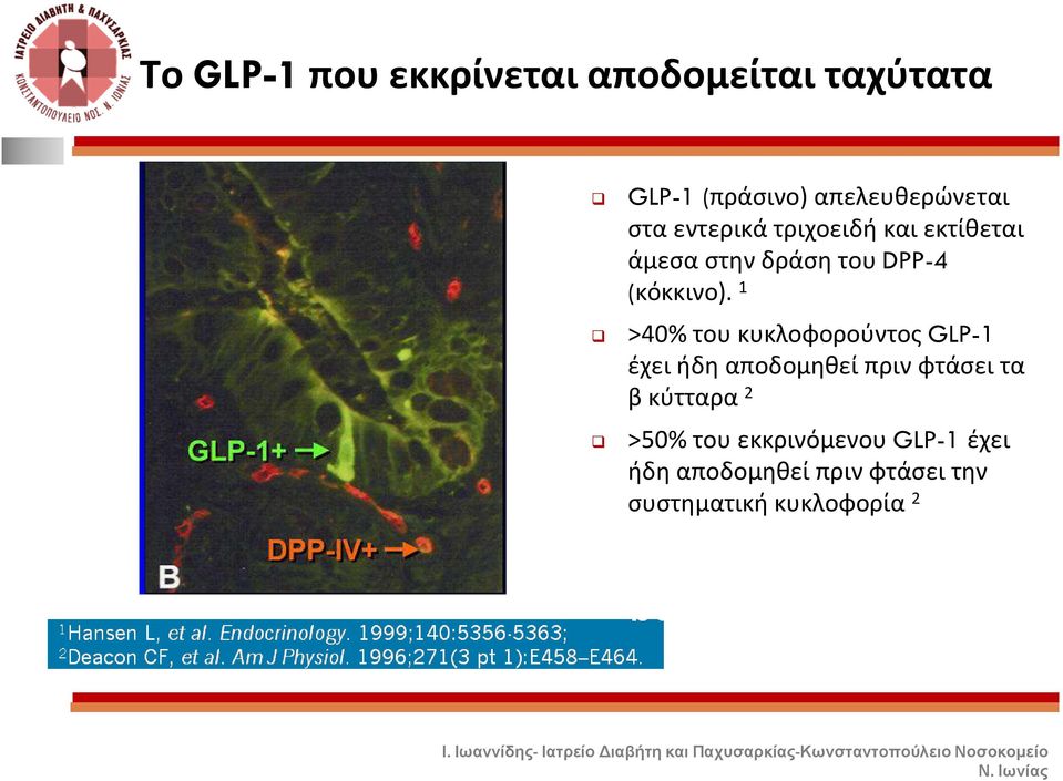 1 >40% τουκυκλοφορούντος GLP-1 έχει ήδη αποδομηθεί πριν φτάσει τα βκύτταρα 2