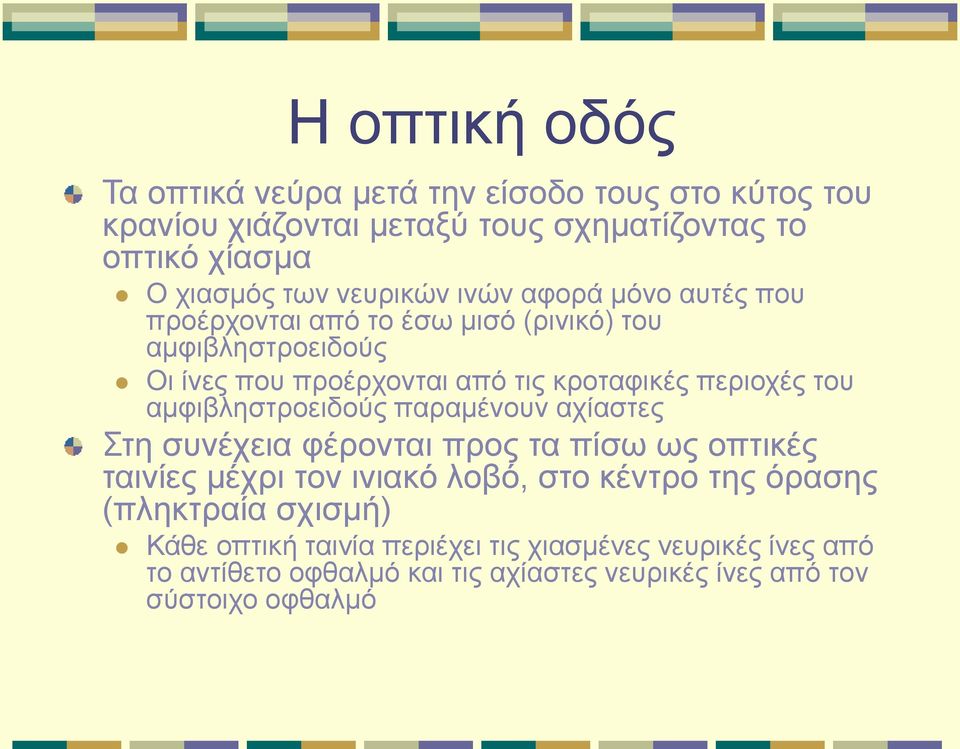 του αμφιβληστροειδούς παραμένουν αχίαστες Στη συνέχεια φέρονται προς τα πίσω ως οπτικές ταινίες μέχρι τον ινιακό λοβό, στο κέντρο της όρασης