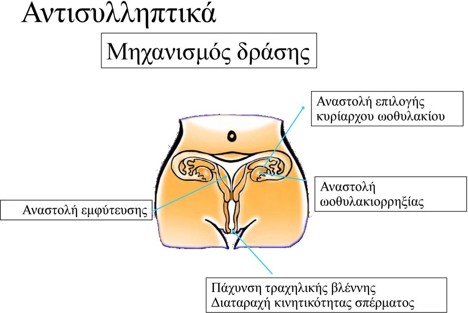 εμφύτευσης Αναστολή ωοθυλακιορρηξίας Πάχυνση