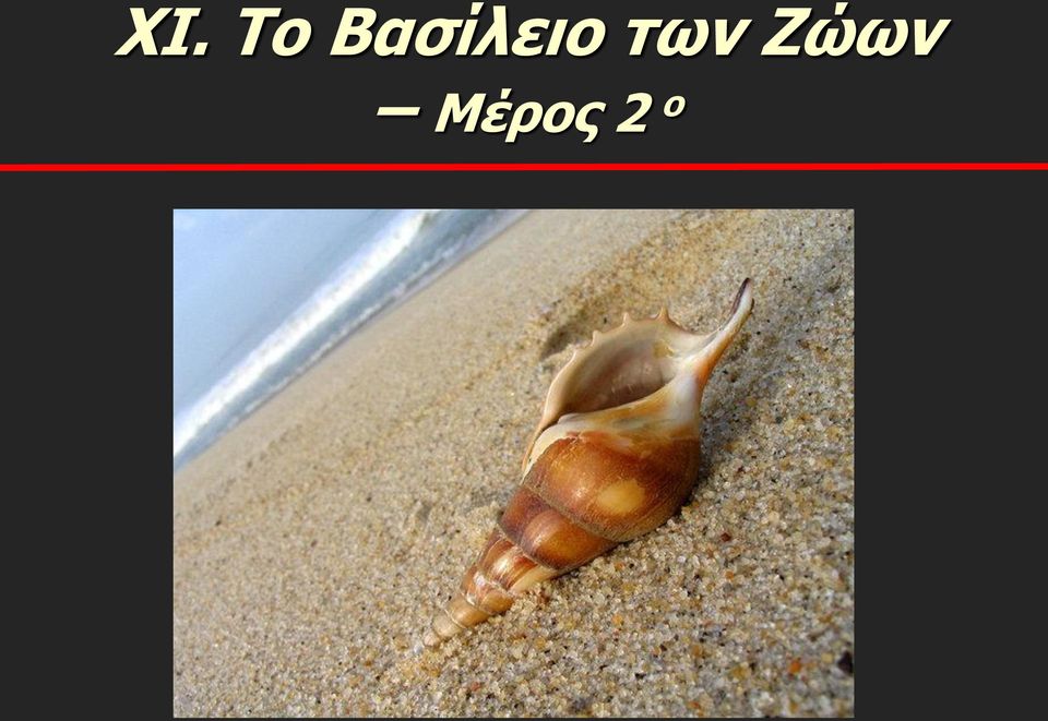 των Ζώων