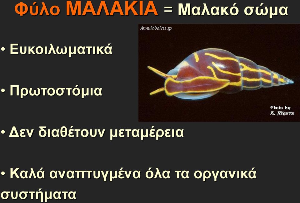 διαθέτουν μεταμέρεια Καλά