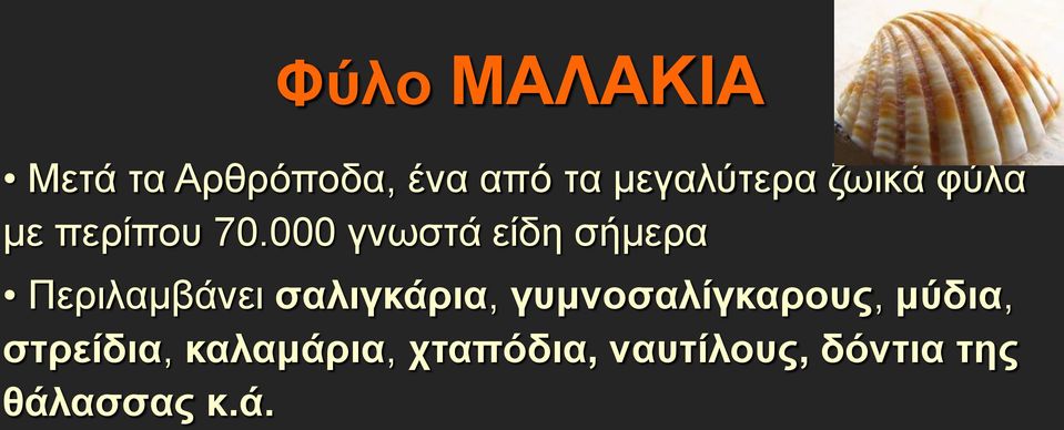 000 γνωστά είδη σήμερα Περιλαμβάνει σαλιγκάρια,