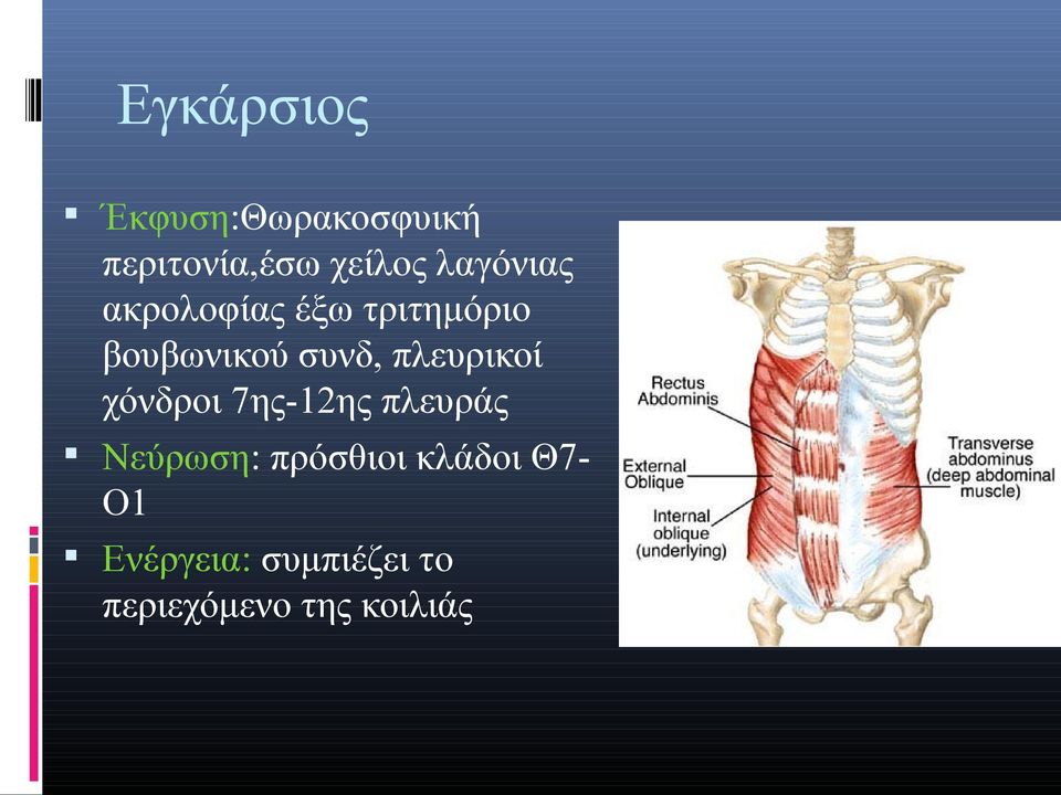 πλευρικοί χόνδροι 7ης-12ης πλευράς Νεύρωση: πρόσθιοι