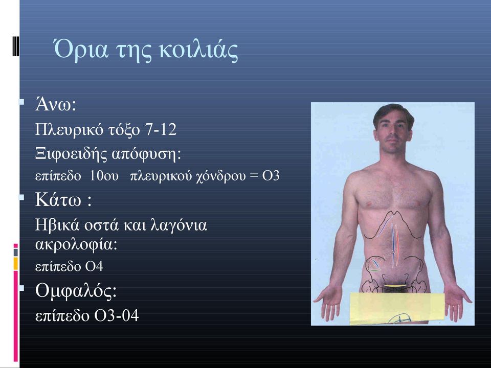 χόνδρου = Ο3 Κάτω : Ηβικά οστά και λαγόνια