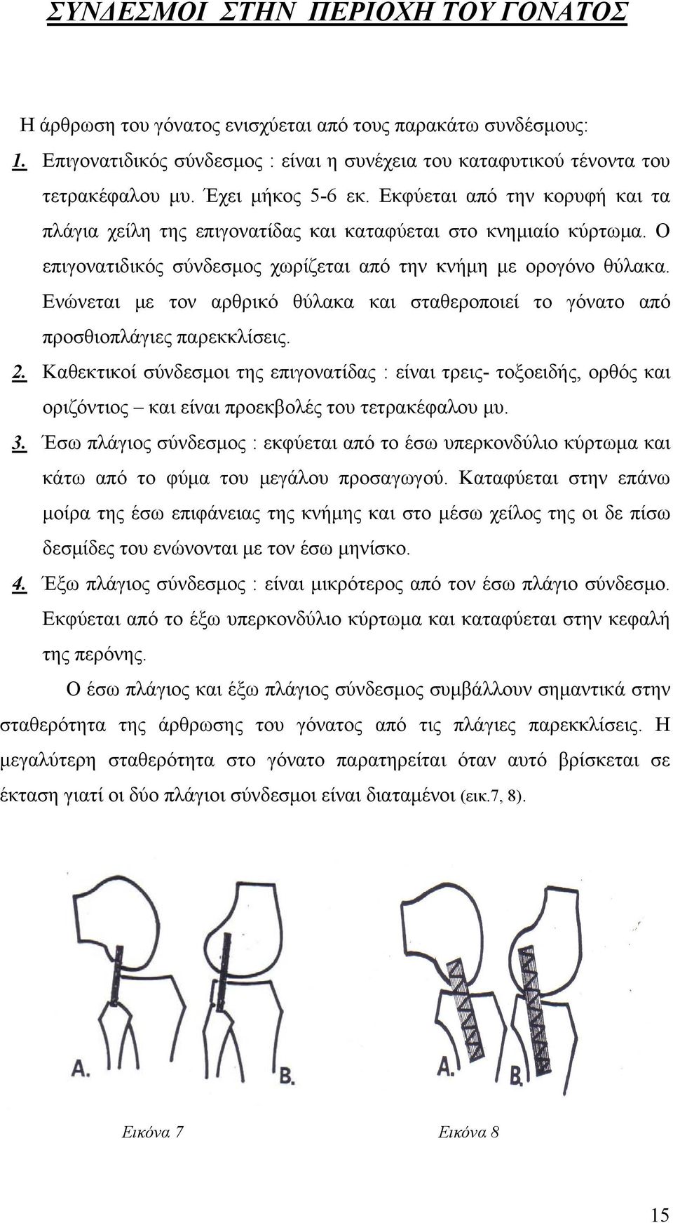 Ενώνεται με τον αρθρικό θύλακα και σταθεροποιεί το γόνατο από προσθιοπλάγιες παρεκκλίσεις. 2.