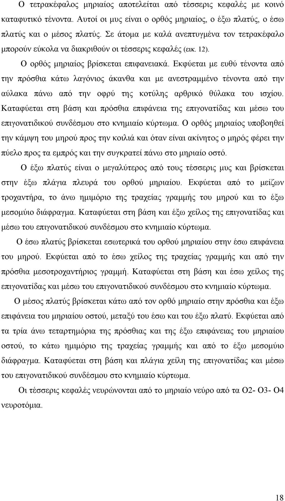 Εκφύεται με ευθύ τένοντα από την πρόσθια κάτω λαγόνιος άκανθα και με ανεστραμμένο τένοντα από την αύλακα πάνω από την οφρύ της κοτύλης αρθρικό θύλακα του ισχίου.