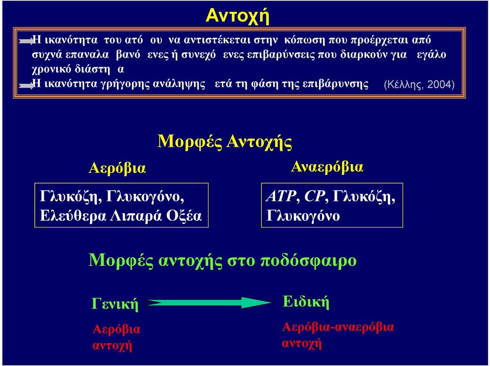 φάση της επιβάρυνσης (Κέλλης, 2004) Μορφές Αντοχής Αερόβια Αναερόβια Γλυκόζη, Γλυκογόνο, Ελεύθερα Λιπαρά
