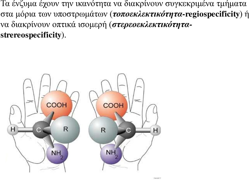 (τοποεκλεκτικότητα-regiospecificity) ή να