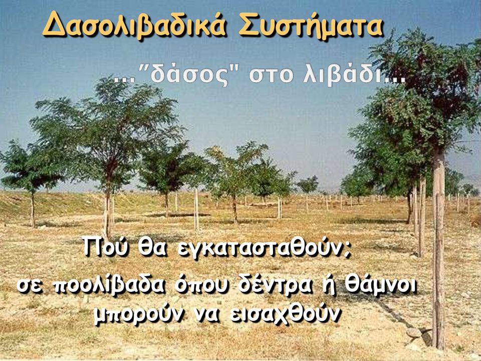 ποολίβαδα όπου δέντρα ή