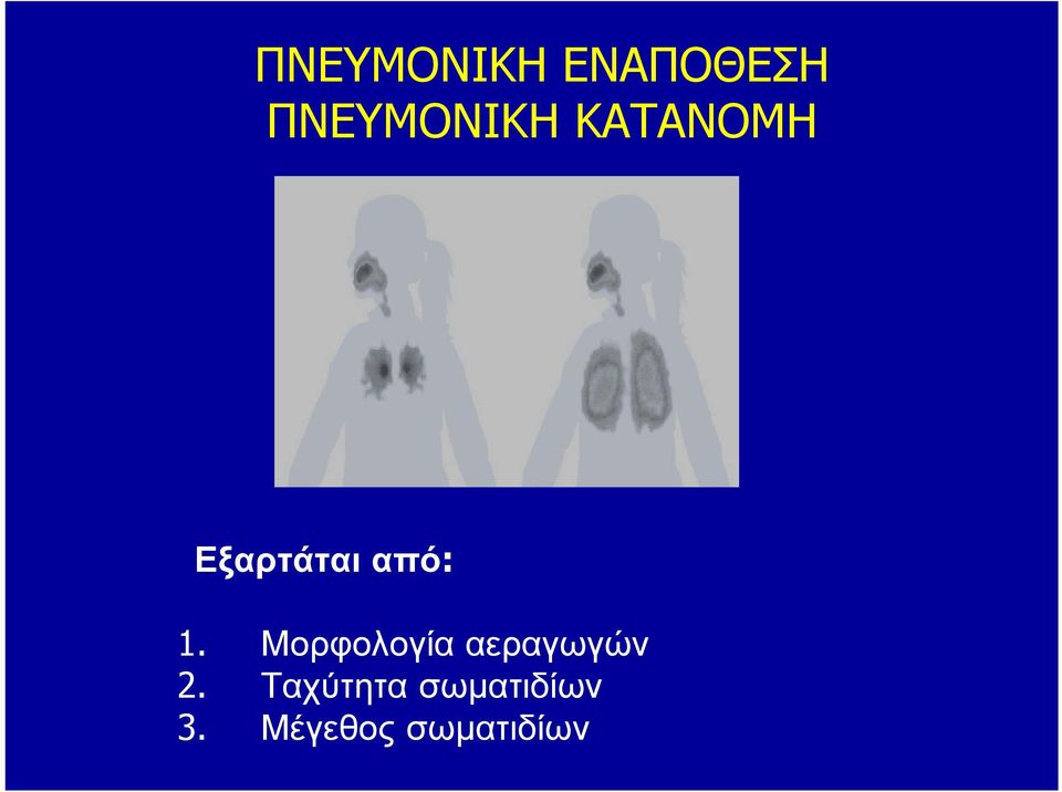 από: 1. Μορφολογία αεραγωγών 2.