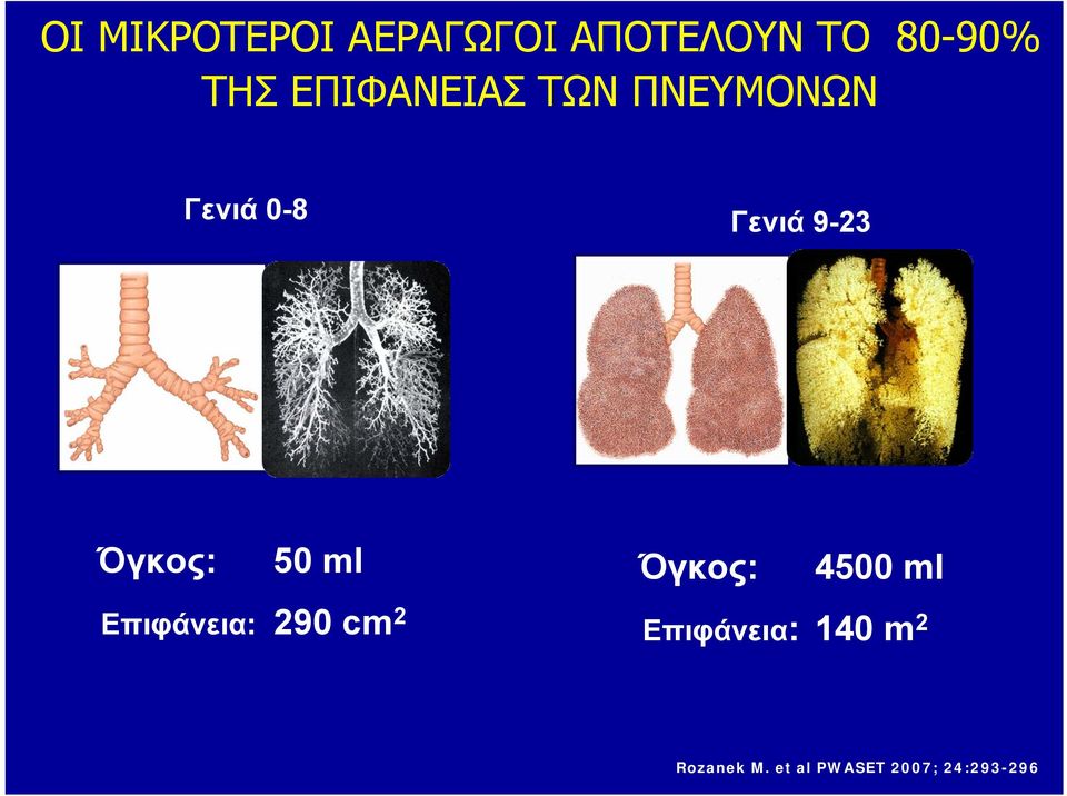 Όγκος: Επιφάνεια: 50 ml Όγκος: 290 cm 2 Επιφάνεια: