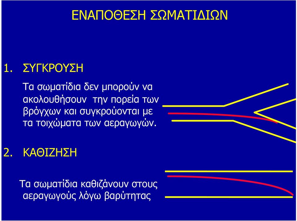 την πορεία των βρόγχων και συγκρούονται με τα