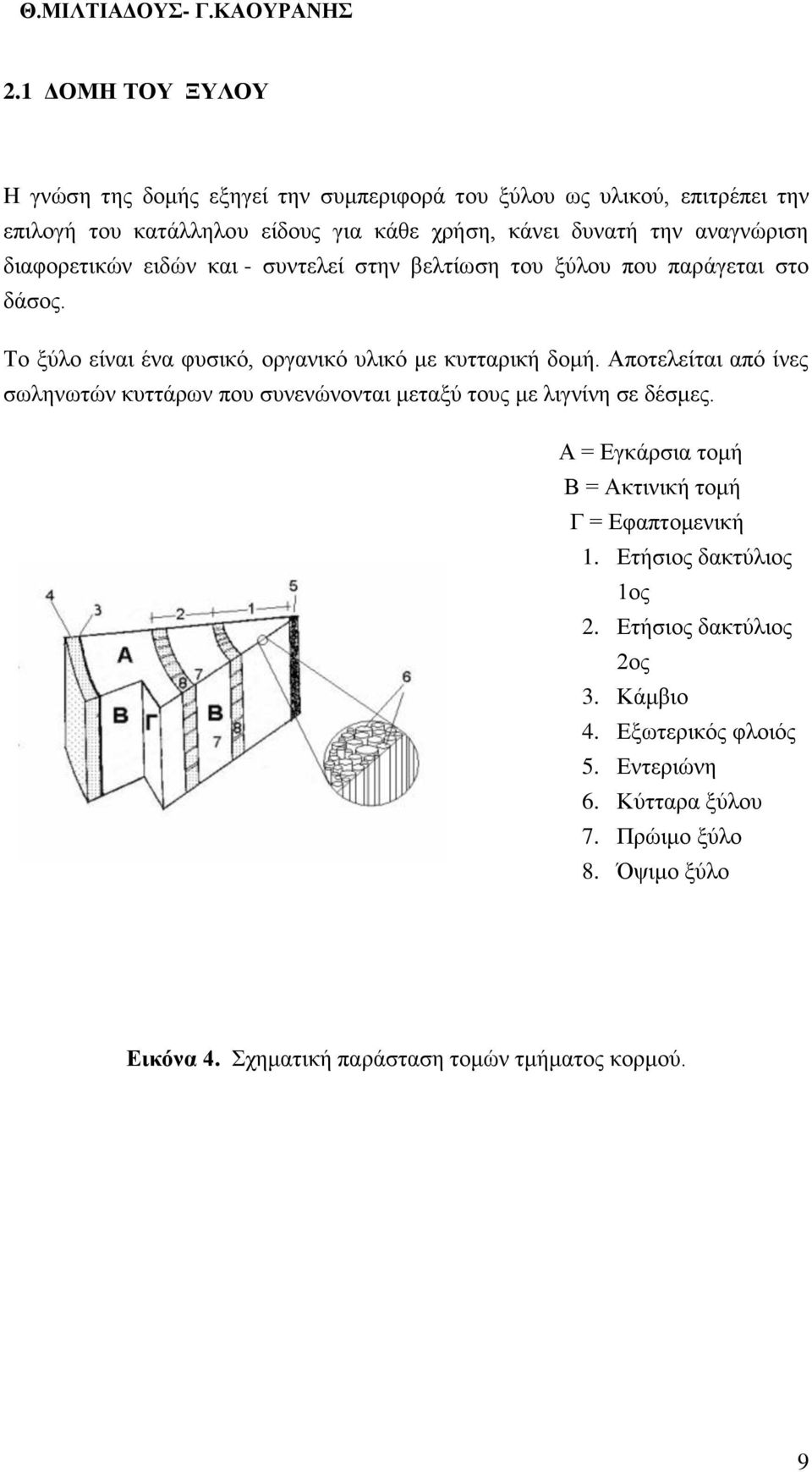 Αποτελείται από ίνες σωληνωτών κυττάρων που συνενώνονται μεταξύ τους με λιγνίνη σε δέσμες. Α = Εγκάρσια τομή Β = Ακτινική τομή Γ = Εφαπτομενική 1.